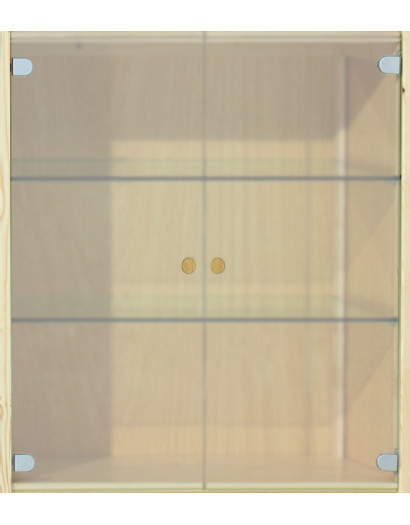 1 jeu de portes  en verre dépoli largeur 80 cm