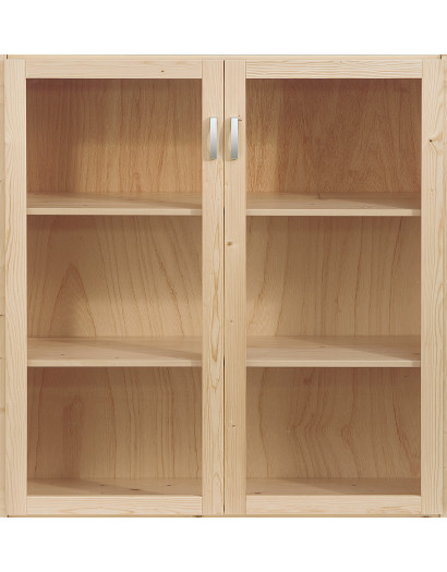1 jeu de  portes cadre  vitré 100 cm