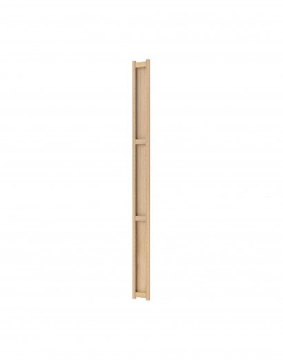 Echelle terminale 289 cm