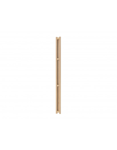 Echelle terminale massive 289 cm